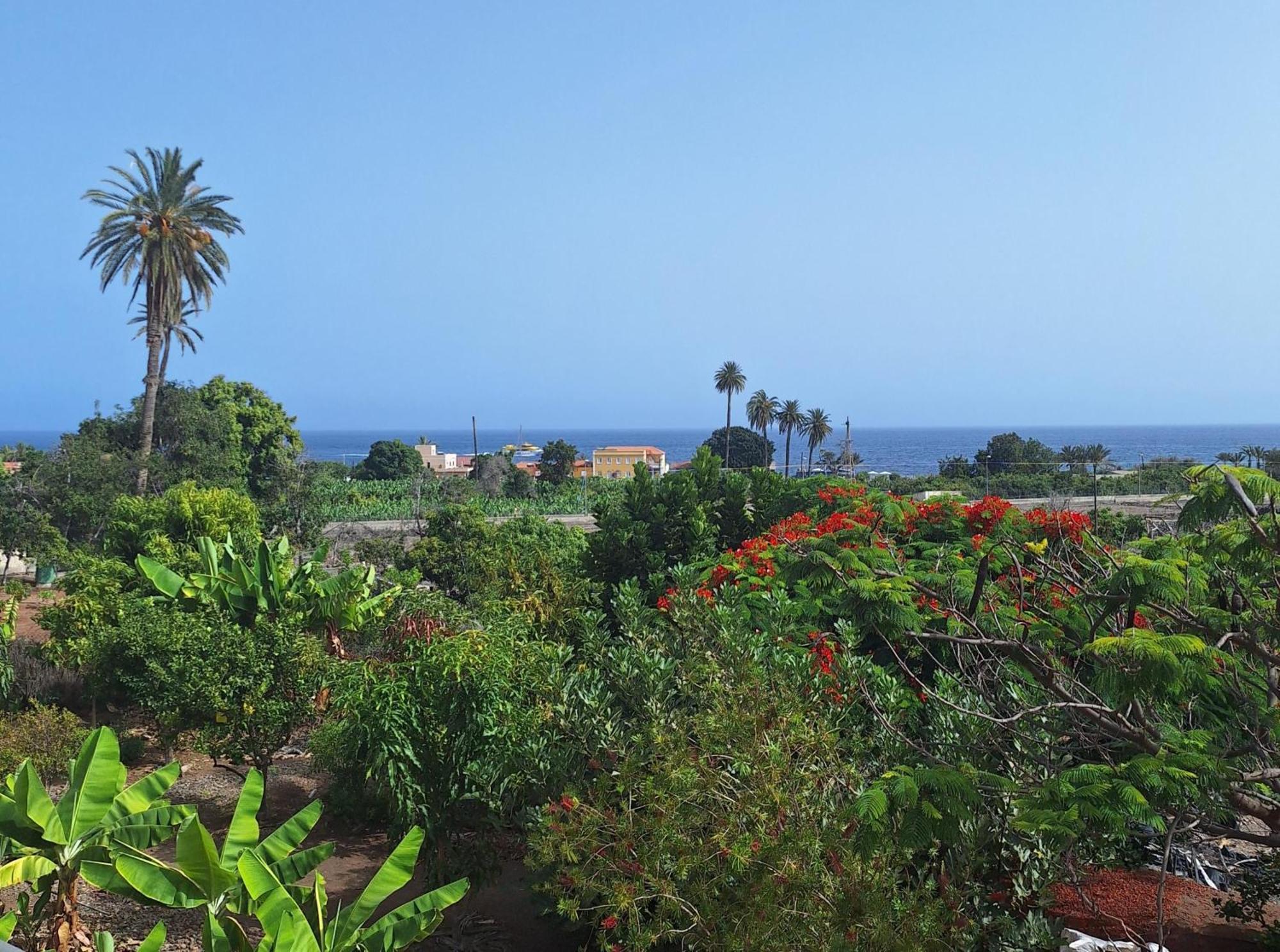 Apartamentos Bellavista Gomera Playa de Santiago  Eksteriør bilde
