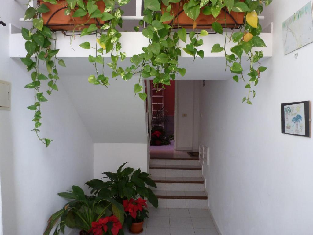 Apartamentos Bellavista Gomera Playa de Santiago  Eksteriør bilde